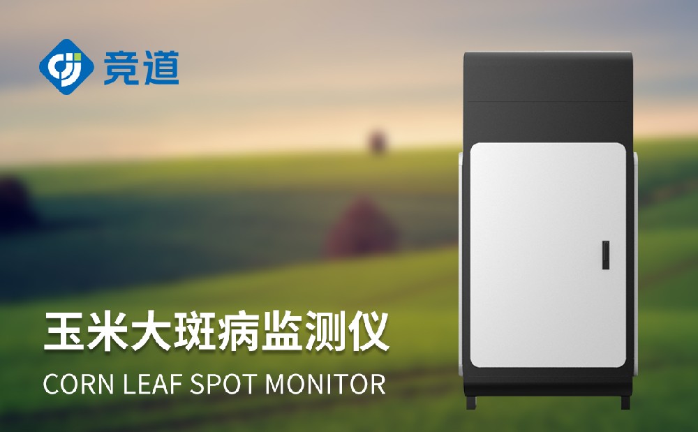 玉米大斑病防治新手段，玉米大斑病監(jiān)測儀提升病害治理能力