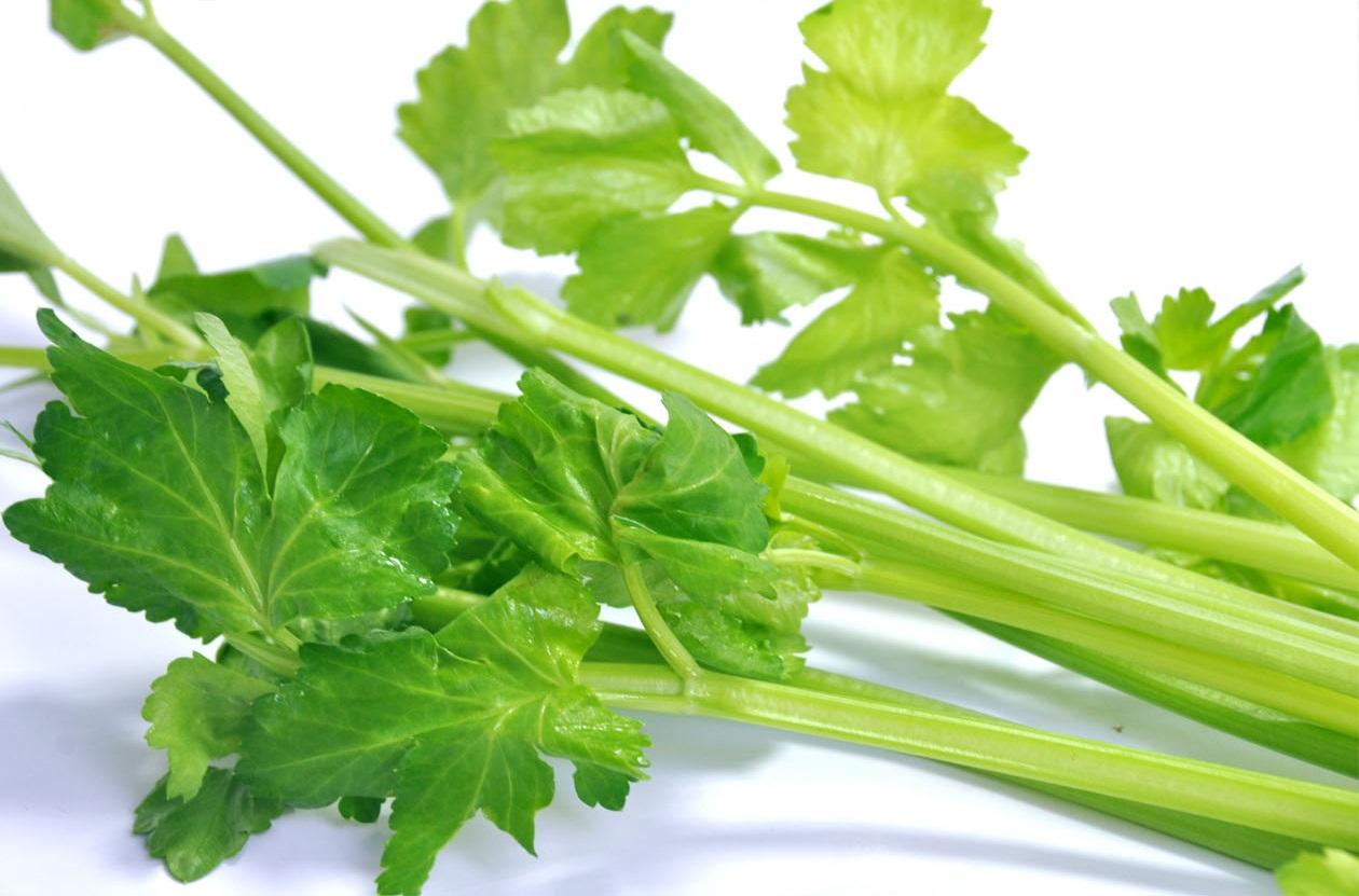 蔬菜是個(gè)寶，這些部位也更好！