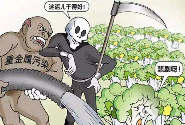 糧食安全如何得到保障？