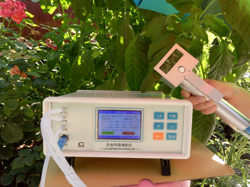 植物氣孔針 植物氣孔針